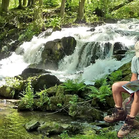 Kurhotel Bad Suderode فندق باد سوديرود