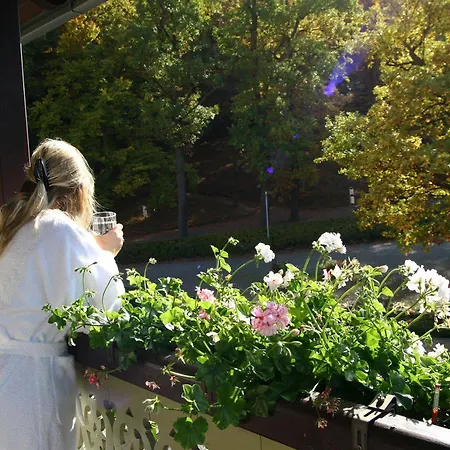 Kurhotel Bad Suderode Hotel 4*